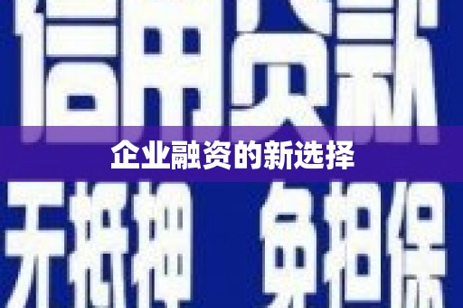 贡寮企业融资的新选择