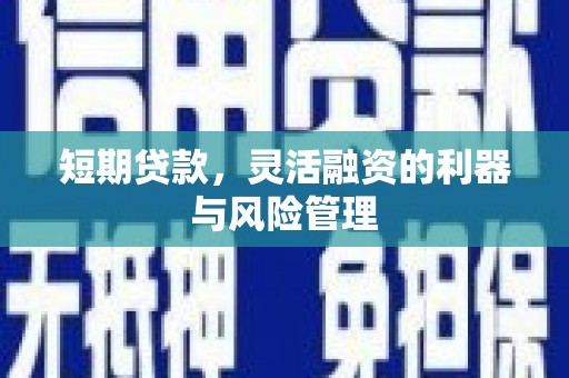 贡寮短期贷款，灵活融资的利器与风险管理