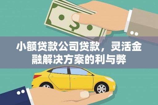 贡寮小额贷款公司贷款，灵活金融解决方案的利与弊